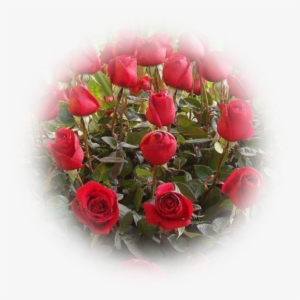 5 Trims Flowers Graphics - 玫瑰 花 图片