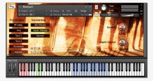 Indian Bansuri Flute - Aria Sounds Bansuri Flute