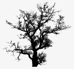 Silhouette Big Image Png - Tree Silhouette Vector Png