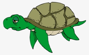 Turtle Clipart Png Transparent - Old Sea Turtle Clipart