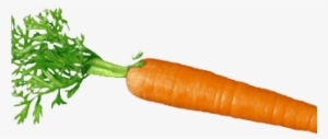 Carrot Png Transparent Images - Carrot