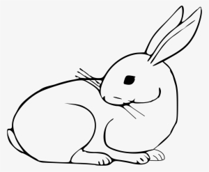 Black And White Library Rabbit Big Image Png - Domestic Rabbit