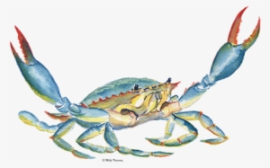 Click And Drag To Re-position The Image, If Desired - Chesapeake Blue Crab