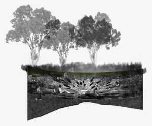 Photomontages And Sketches Of The Memorial - Mexican Pinyon