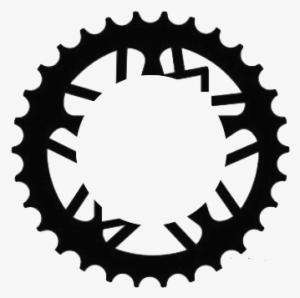 Bicycle Fitting Service - Sprocket