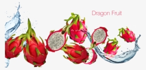 Dragon Fruit - Red Dragon Fruit Png