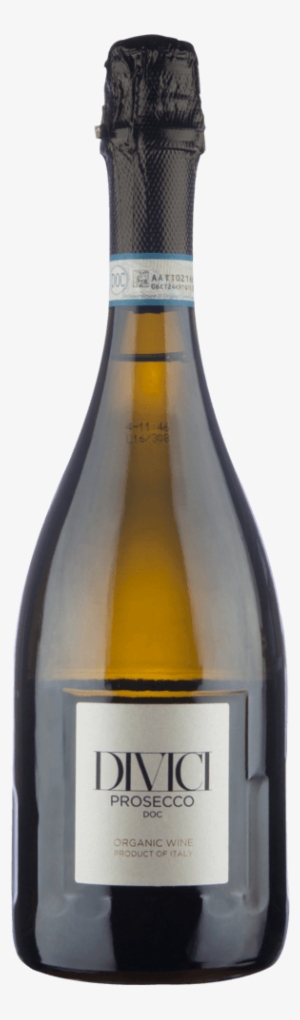 Fizz Forecast - Glass Bottle