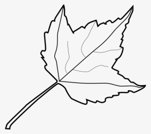 Clip Art Leaves Black And White