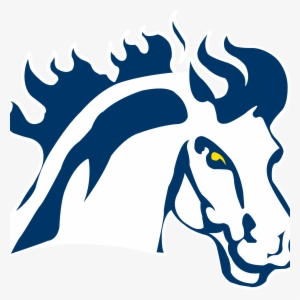 College Basketball Conference & Regional Tournament - Mount Mercy University Mustangs