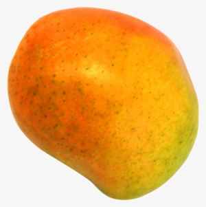 Mango Png