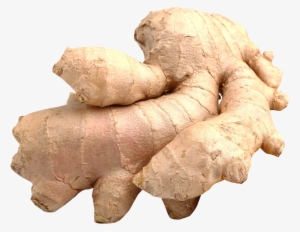 Ginger Png Image - Ginger Png