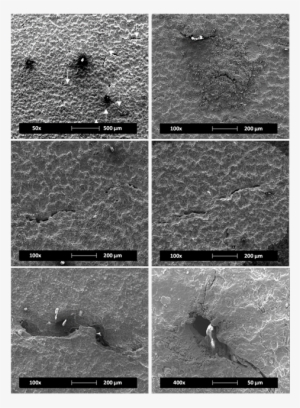 Presence Of Cracks On Api 5l X52 Steel Exposed To The - Floor