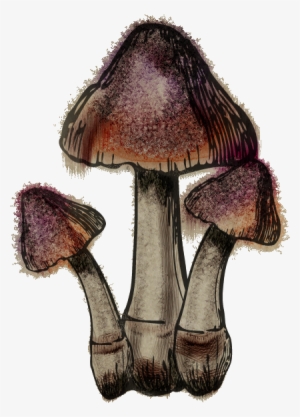 Bleedingcrown - Skyrim Bleeding Crown