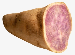 Sweet Potato Yam Png Image - Yam Png