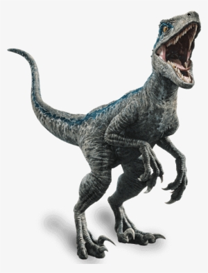Fallen Kingdom Blue The Velociraptor By Sonichedgehog2-dc80trd - Blue Jurassic World Png