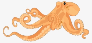 Octopus 02 Clipart Png