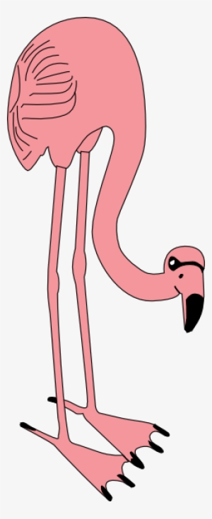 How To Set Use Flamingo Svg Vector