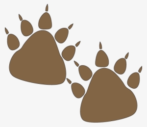 Bear Paw Prints - Bear Paw Prints Clipart