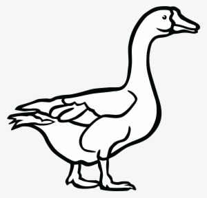 Png Free Download Cool Duck Png Clipartxtras For Ifm - Goose Clipart Black And White