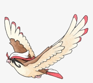 They Gave Pidgeot Mascara Tears - Pigeons And Doves