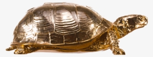 Box Turtle Png Picture - Areaware Chrome Turtle Box