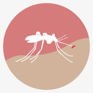 November 20, - Zika Graphic