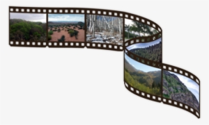 Film Negative Roll Png Wwwimgkidcom The Image Kid - 9 Film Strip Png