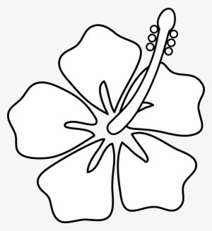 Best 15 Post Media For Cartoon Jamaican Flower Cartoonsmix - Easy Drawing Of Hawaiian Flower
