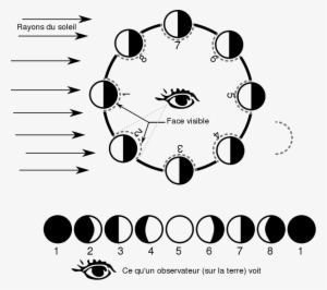 Moon Phases Diagram Black And White