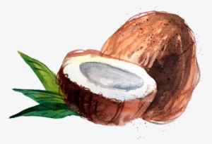 Koko Nut Coconut Extra Virgin Coconut Oil