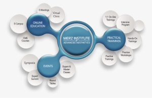 Established In 2016, The Merz Institute Of Advanced - Diagram