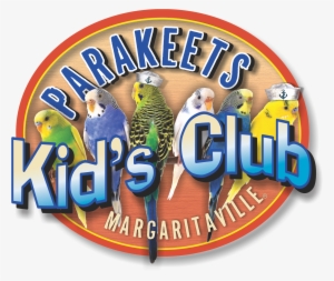 Parakeets Kid's Club - Magnes 3d Kolorowe Papużki