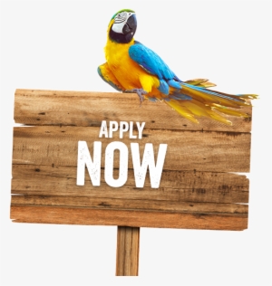 Job Posting Supporting Image - Wooden Sign Board Png