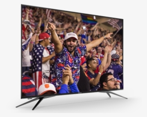 Come Meet Our Newest Friends - Television