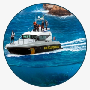 Www - Fenapef - Org - Br - Pilot Boat