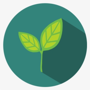 Laundry Woodstock - Laundry