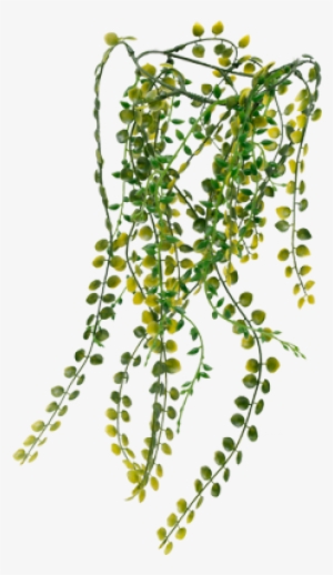 Nature-inspired Fluval Chi Vine Ornament Adds An Abundance - Fluval Chi Vine Ornament