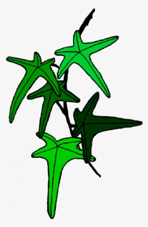Clip Art