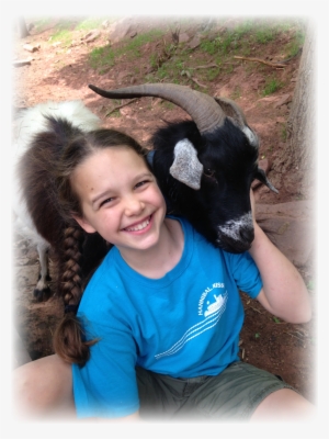 About The Owner - Cattle