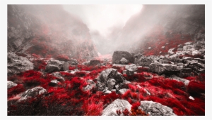 Score 50% - Grassy Mountains