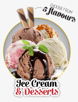 3pcs Ice Cream Spoon Stainless Steel Spring Handle