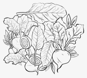 Draw Cool Line Art For Coloring Book Pages For Any - Alice No Pais Das Maravilhas Desenho Para Colorir