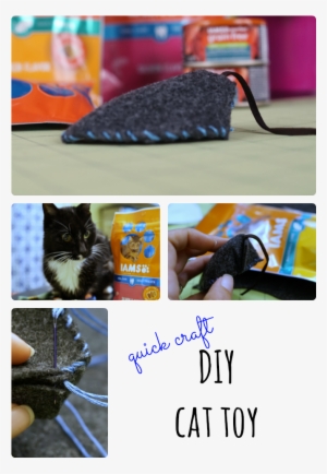 Making A Cat Toy Is Easier Than You Think Check Out - Cat