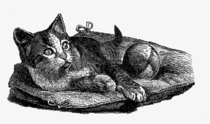 Digital Cat Clip Art - Illustration
