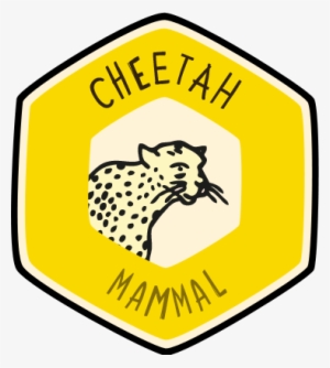 Visit The Zoo And Collect This Animal's Badge In Our