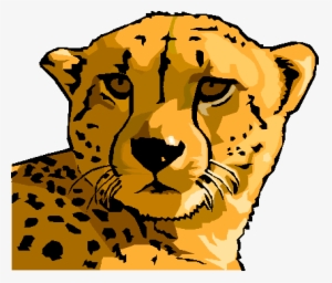 Chelsea Heights School - Moving Pictures Of Cheetahs