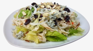 Cheesesteak Factory Salad - Caesar Salad