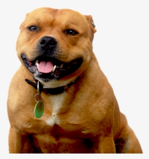 Snoop Dog - Snoop Dogg