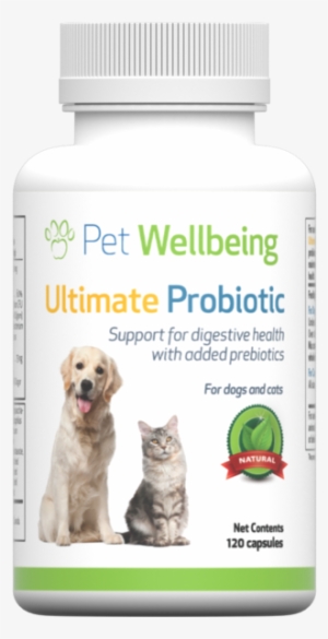 Pet Wellbeing - Urinary Gold Daily For Cats - Natural