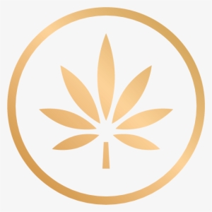 Cannabis